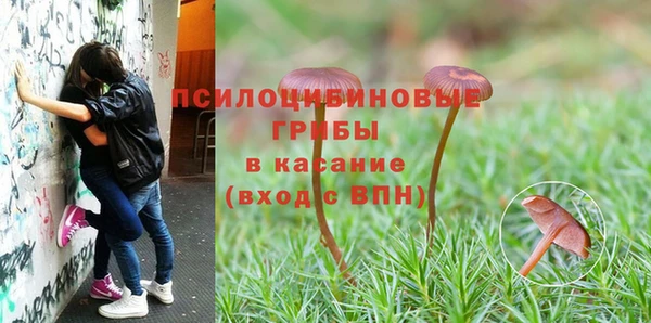 не бодяженный Ладушкин
