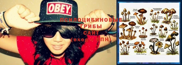 2c-b Лабытнанги